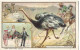PUBLICITE CHICOREE LEROUX AUTRUCHE Attelage JOLIE CHROMO CPA 2 SCANS - Publicité