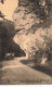 LUXEMBOURG - Müllertal - Route - Berdorf - Rocher - Automobile Ancienne - Benz - Animé - Nels - Carte Postale Ancienne - Müllerthal