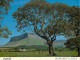 Irlande - Sligo - Benbulben - Ireland - Irlanda - CPM - Voir Scans Recto-Verso - Sligo
