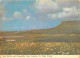Irlande - Sligo - Yeats Country - Ben Bulben And Drumcliffe - Ireland - Irlanda - CPM - Voir Scans Recto-Verso - Sligo