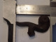 CHIENS BRUTE POUR FUSILS A PISTON - Armas De Colección