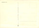 Suisse - ZG Zoug - Baar - Hollgrotten - Grotte - Spéléologie - CPM - Carte Neuve - Voir Scans Recto-Verso - Autres & Non Classés
