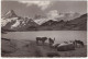 17112  Grindelwald, Bachsee Am Faulhorn - (Suisse/Schweiz) - 1954 - Vieh / Kühe - Grindelwald