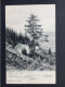 AK KULM B. WEIZ Ca. 1900  //  D*62336 - Weiz