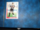 Panini Johan Walem Udinese - Autres & Non Classés