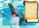 Animaux - Dauphin - Dolphin - Carte à Message - CPM - Carte Neuve - Voir Scans Recto-Verso - Dolphins