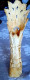 Sculpture Sur Os Indienne Ou Indonésienne Des  Années 1940 - Andere & Zonder Classificatie