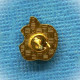 1 PIN'S //  ** LOGO " APPLE " COMPUTER INC / UNE POMME CROQUÉE ** . (®). - Informatica