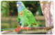 Dominica - Jaco Parrot - 225CDMA (flat Top 3) - Dominica