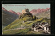 AK Tarasp, Blick Auf Das Schloss Tarasp - Tarasp