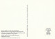 Great Britain 2003 Extreme Endeavours - Maximum Card  42p. - Ernest Shackleton - Autres & Non Classés