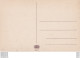 J15- SACHS - SCHWEIZ - ZAHNSGRUND -  ( 2 SCANS ) - Hohnstein (Saechs. Schweiz)