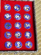 Plaque Et Pin's Mascotte Panda Or 24 K Carats Asian Games XI Coffret Luxe - Altri & Non Classificati
