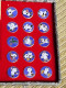 Delcampe - Plaque Et Pin's Mascotte Panda Or 24 K Carats Asian Games XI Coffret Luxe - Altri & Non Classificati