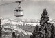 ET-SUISSE FLUMSERBERGBAHN OBLITERATION-N°TB3534-D/0365 - Berg