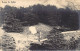 LIBAN - Cèdres Du Liban- CARTE PHOTO - Ed. Inconnu - Liban