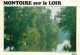 41 - Montoire Sur Le Loir - Le Loir - CPM - Voir Scans Recto-Verso - Montoire-sur-le-Loir
