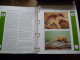 Delcampe - (W1) VERZAMELING WWF IN ORGINELE ALBUM 16 X SET MNH AND 16X4 FDC'S SEE SCANS - Other & Unclassified