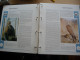 Delcampe - (W4) VERZAMELING WWF IN ORGINELE ALBUM  6 X 4 FDC'S AND 1 X2 FDC'S  SEE SCAN'S. - Other & Unclassified