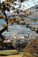 64 SARE Vue Panoramique Carte Vierge Non Circulé édition Rameaux ( Scans R/V) N° 67 \MO7058 - Sare