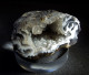 Delcampe - Quartz - Agate - Geode ( 3.5 X 3.5 X 2 Cm ) Rio Grande Do Sul - Brésil. - Minerals