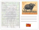 India 2025 BISON / GAUR MINT / BLANK PPC Maxim/Picture Post Card As Per Scan - Stiere