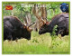 India 2025 BISON / GAUR MINT / BLANK PPC Maxim/Picture Post Card As Per Scan - Stiere
