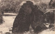 64-ITXASSOU-N°T5272-F/0017 - Itxassou