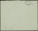 Let MONACO 5 : 15c. Rose, Charles III, Obl. Càd MONACO PRINCIPAUTE 5/6/91 S. Env. Pour Paris, TB - Briefe U. Dokumente
