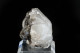 Cerussite Cérusite Maclée Tsumeb - Minerals