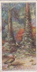 6 BOWER BIRDS --WONDERS OF NATURE 1925 - LAMBERT & BUTLER CIGARETTE CARD  -  3X7CMS - Gallaher