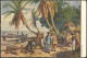 TOGO PP 4 BRIEF, 1912, 5 Pf. Grün, Privatpostkarte, Ungebraucht, Feinst (etwas Angestoßen) - Togo