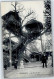 50960764 - Le Plessis-Robinson - Le Plessis Robinson
