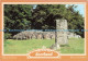 D242145 Scotland Clava Cairns Near Culloden Colourmaster Limited - Monde