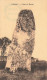 CARNAC : GEANT DU MANIO - Carnac