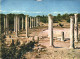 RUINS OF SALAMIS, COLUMNS, POSTCARD, CYPRUS - Cipro