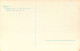 EGYPTE - General View To The Pyramids During The Inundation - Carte Postale Ancienne - Gizeh