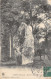 53-GORRON-MENHIR DE LA ROCHE-N°T289-C/0149 - Gorron