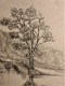 Dessin Le Moulin D'Ardus 82130 Lamothe Capdeville - Drawings
