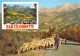 04-BARCELONNETTE-N°3839-B/0355 - Barcelonnette