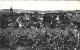 ( 5205 )   Arbois   *** - Arbois