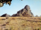 CAMEROUN Nord Mogodé Rocher Du Lion Non Circulé (Scans R/V) N° 22 \ML4055 - Kamerun