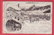 Oude Postkaart - Zwitserland -  DAVOS - Gruss Aus  - Litho - Davos