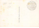 1947 . Carte Maximum . N°105601 .monaco.s A S Louis II .jubile Du Souverain .cachet Monaco . - Maximumkarten (MC)