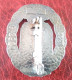 507° Regiment De Chars De Combat - Army