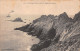 29-LA POINTE DU RAZ-N°T1129-C/0313 - La Pointe Du Raz