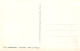 84-CARPENTRAS-N°T1139-A/0385 - Carpentras