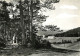 07 - Notre Dame Des Neiges - Par La Bastide - Méditation Dans Les Sous-bois - Animée - Moine - Carte Dentelée - CPSM Gra - Autres & Non Classés