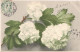 Bonne Anniversaire, 1906 - Geburtstag