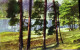 CPA Foret - Altri & Non Classificati